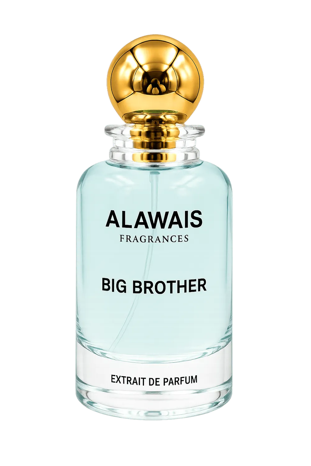 Big Brother – Hybrid of Hawas+Hawas Ice